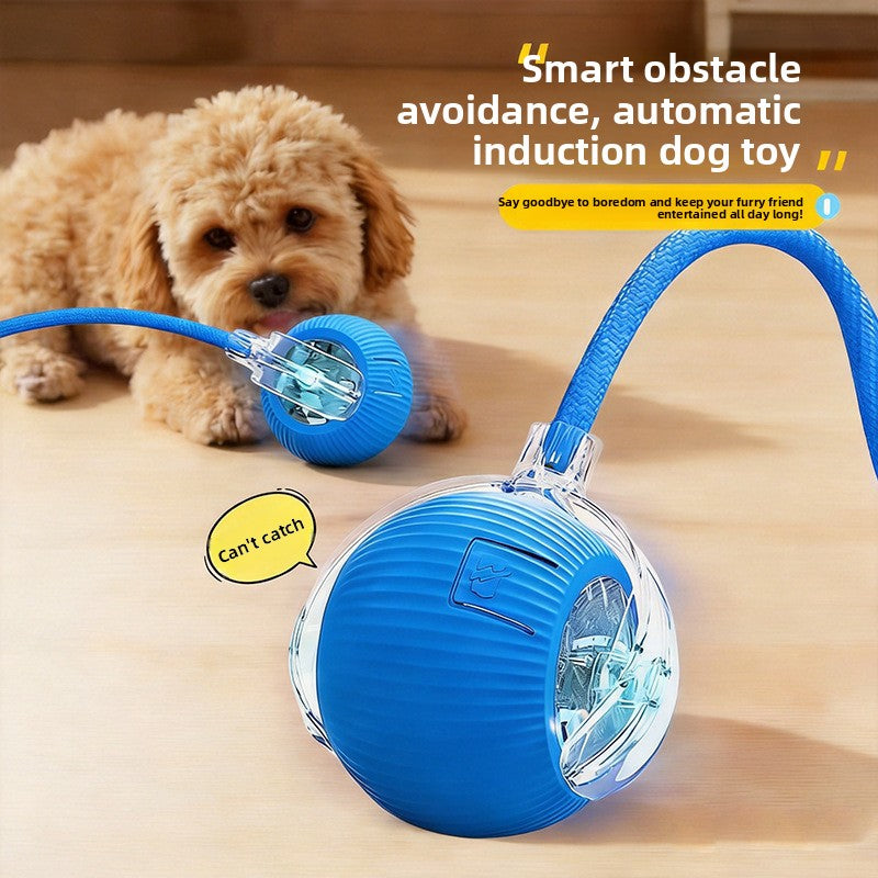 Smart Rolling Cat Ball