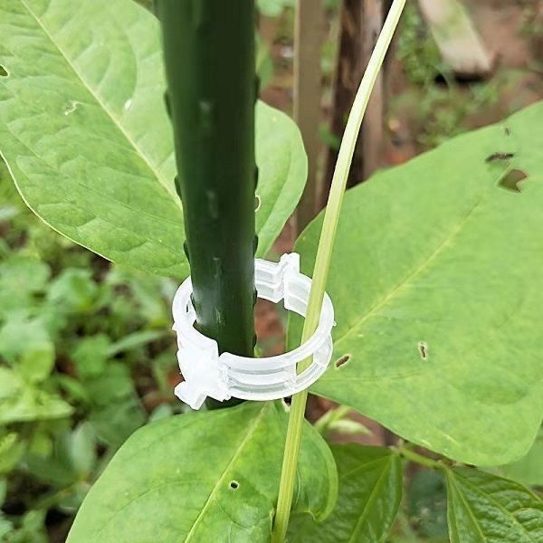 Vine Plant Fixing Clips
