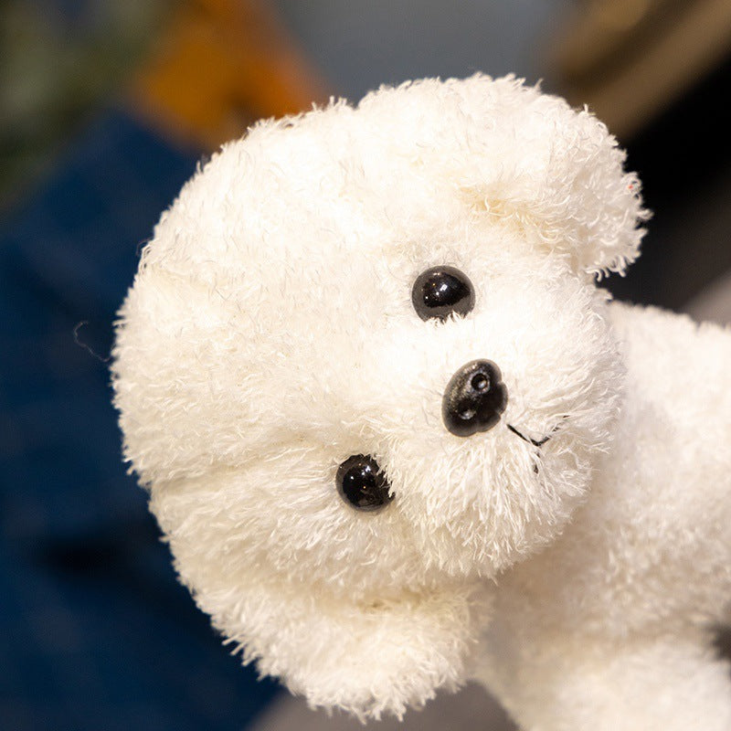 Realistic Curly Teddy Dog Plush Toy