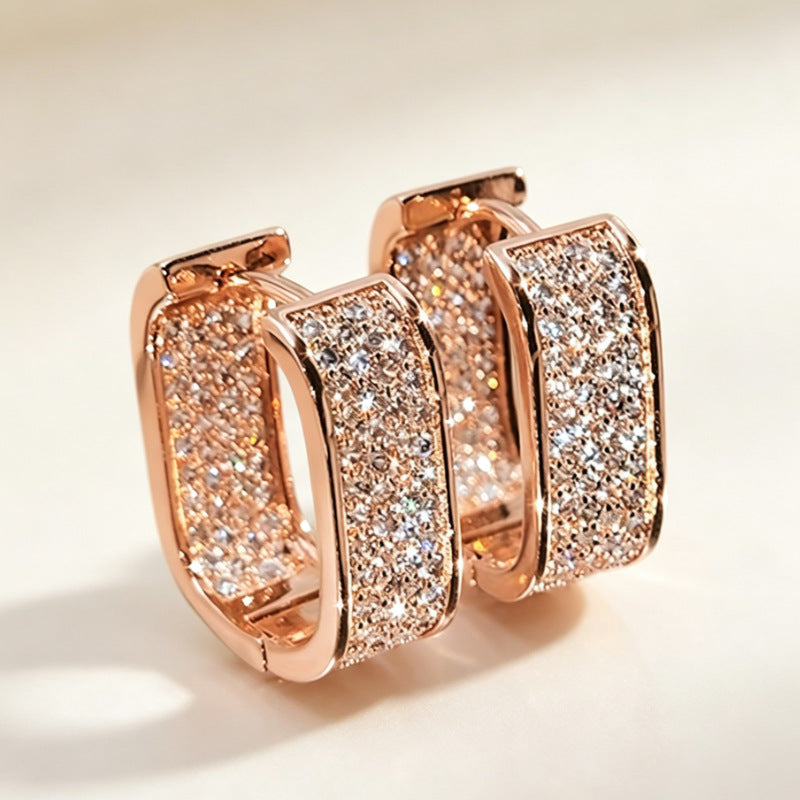 U Shaped Zircon Earrings