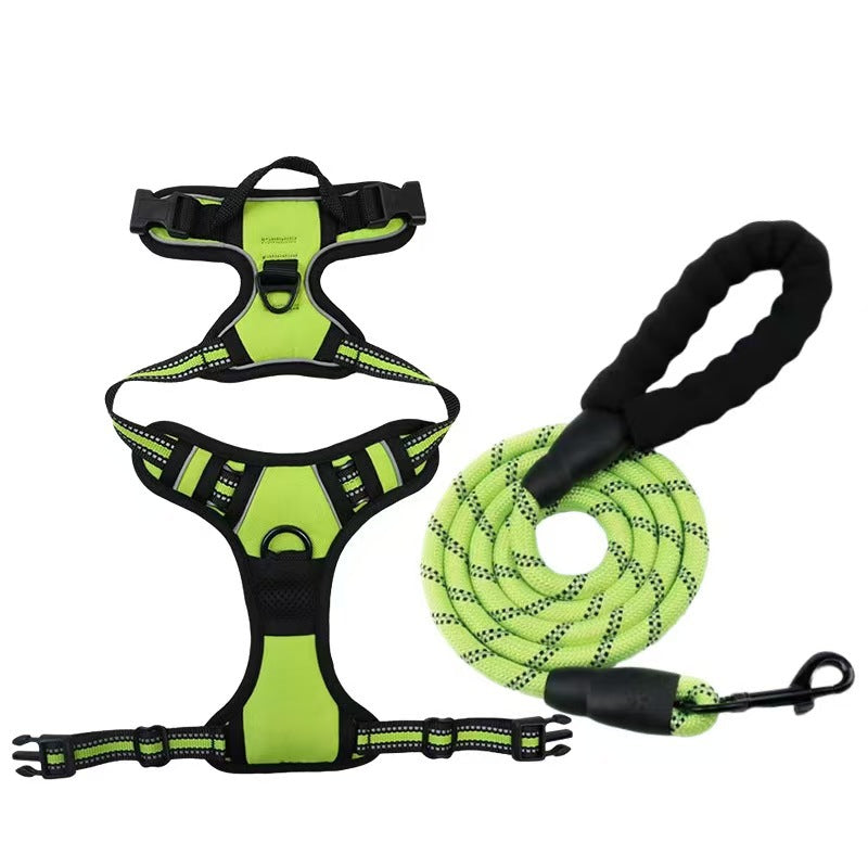 Dog Harness & Leash