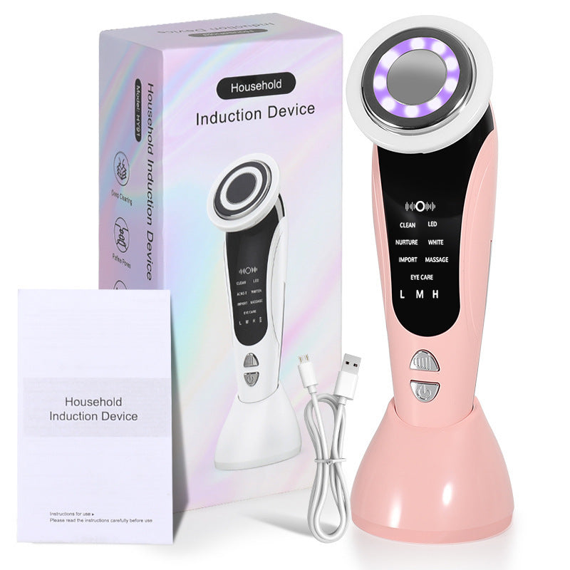 Electric Facial Beauty Device