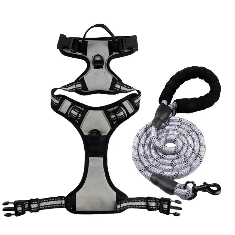 Dog Harness & Leash