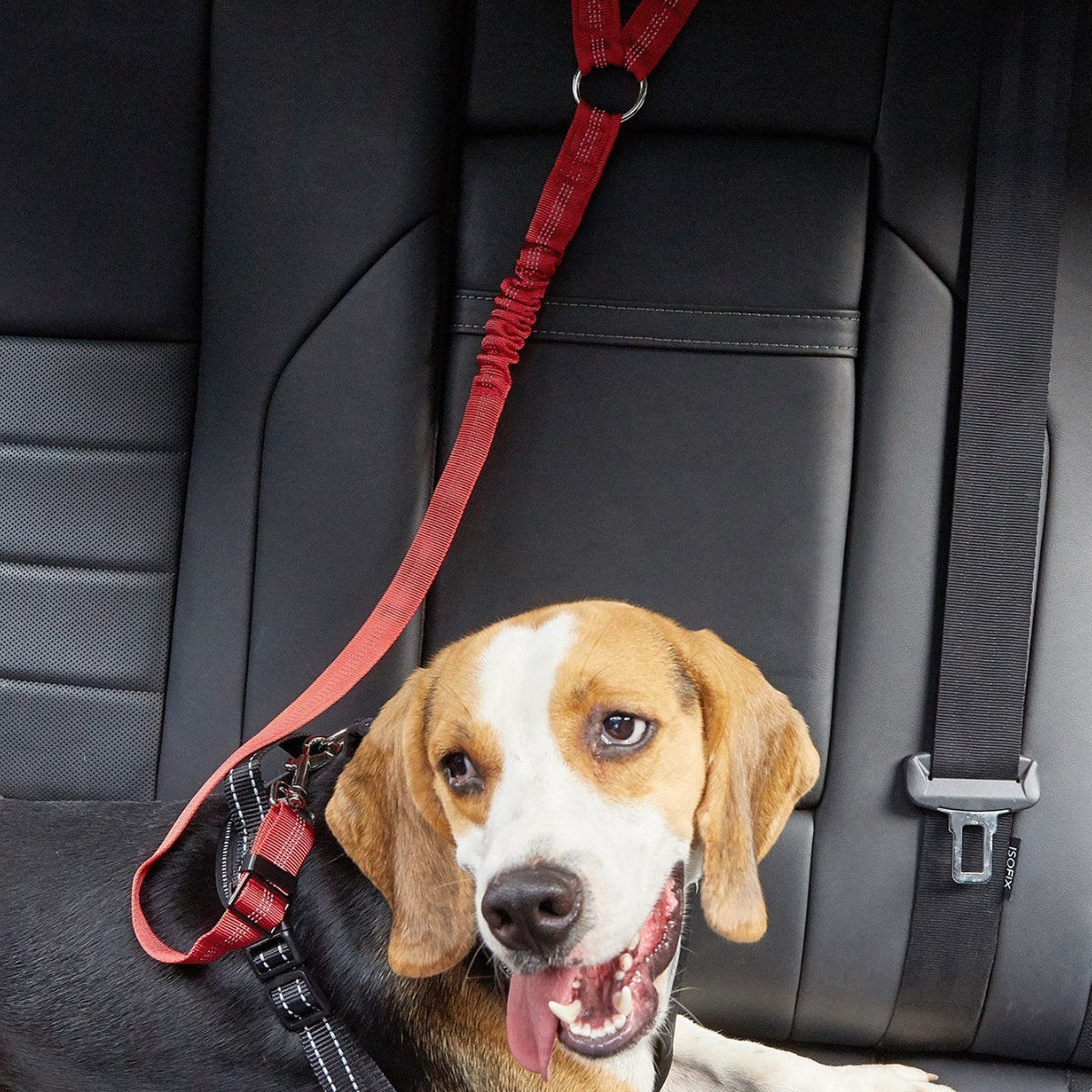 Dog Car Headrest Seat Belt