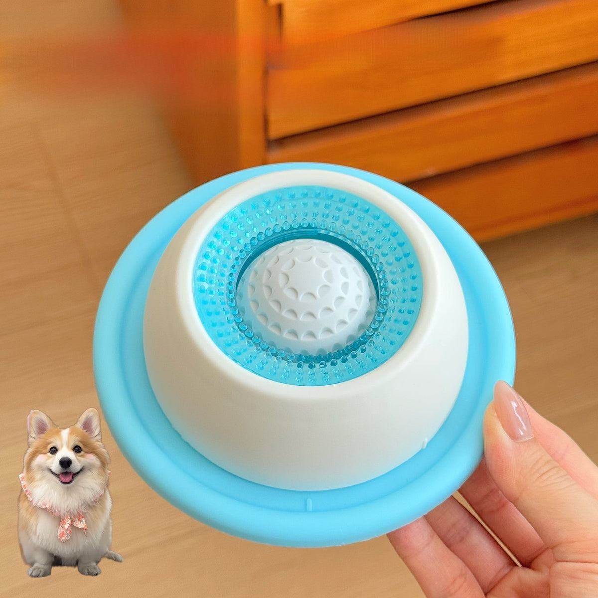 Slow Feeder Pet Play Plate