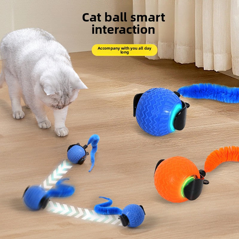 Interactive Cat Toy Ball