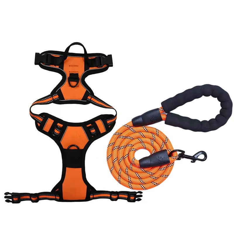 Dog Harness & Leash