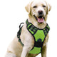 Dog Harness & Leash