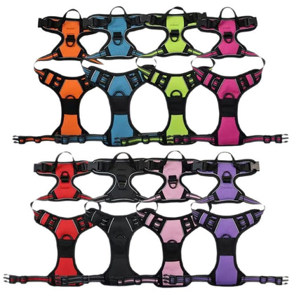 Dog Harness & Leash