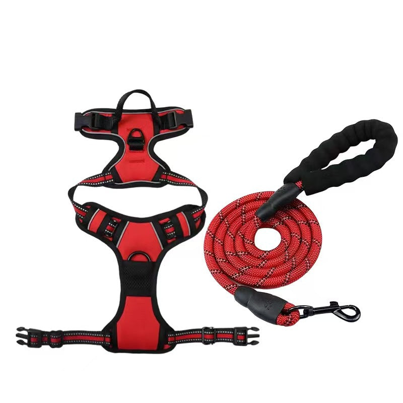 Dog Harness & Leash