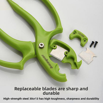 Professional Floral Pruning Scissors
