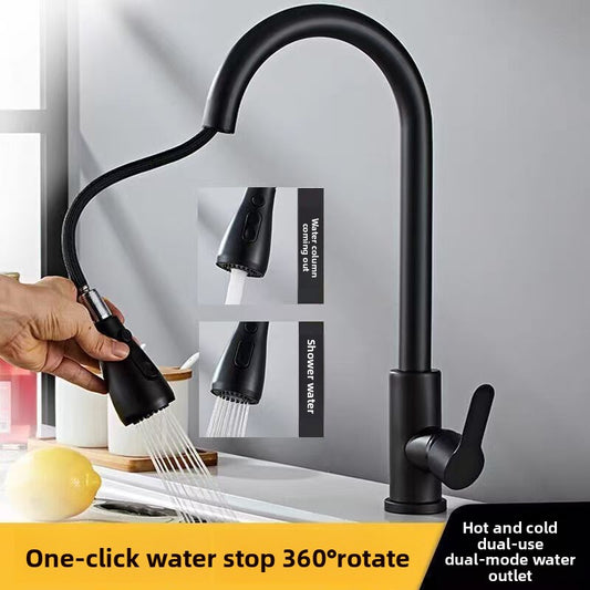 Stainless Steel Pull-Out Faucet