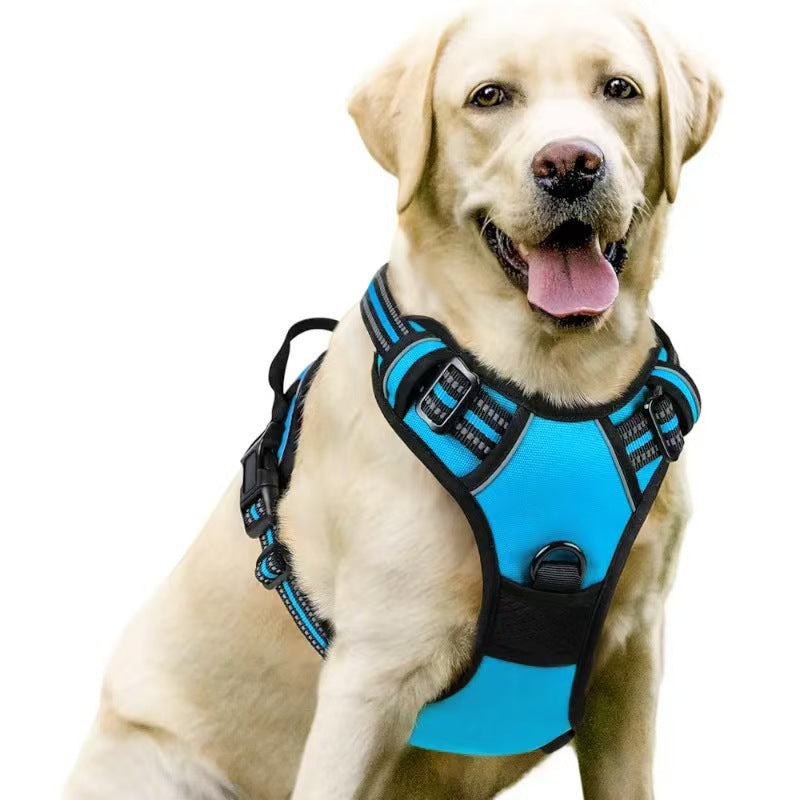 Dog Harness & Leash