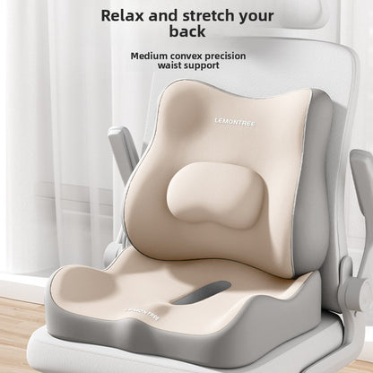 Ergonomic Memory Foam Cushion