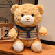Teddy Bear Plush Toy