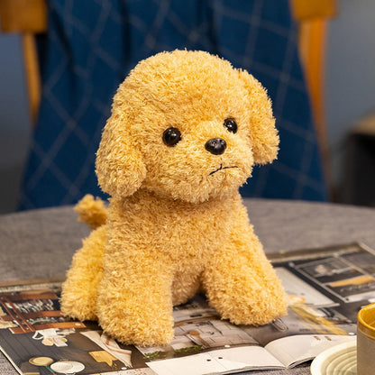 Realistic Curly Teddy Dog Plush Toy