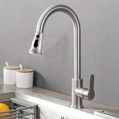 Stainless Steel Pull-Out Faucet