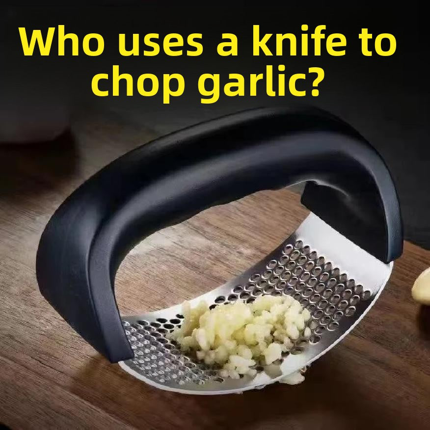 Stainless Steel Garlic Press