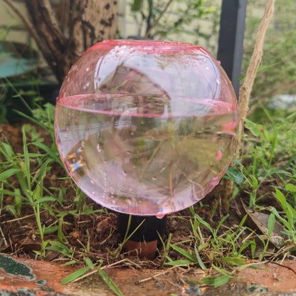 Self Watering Plant Globes