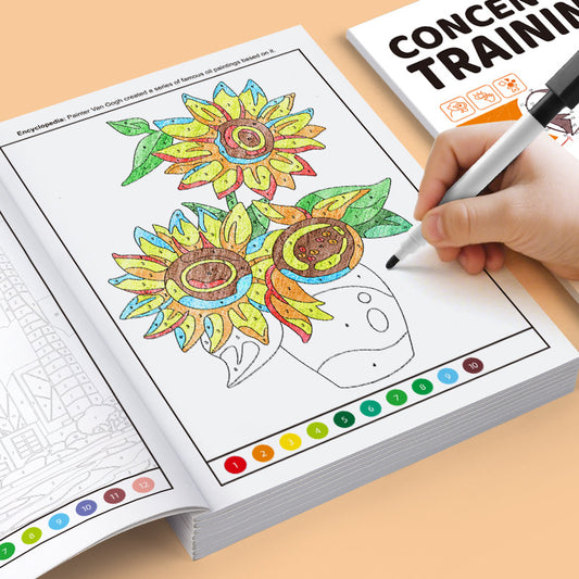 Children's Concentration Maze Toy