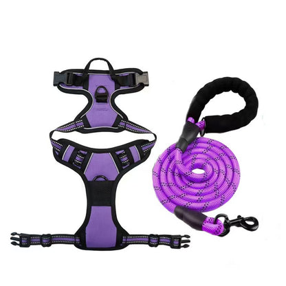 Dog Harness & Leash