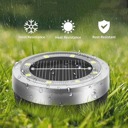 Solar LED Garden Light