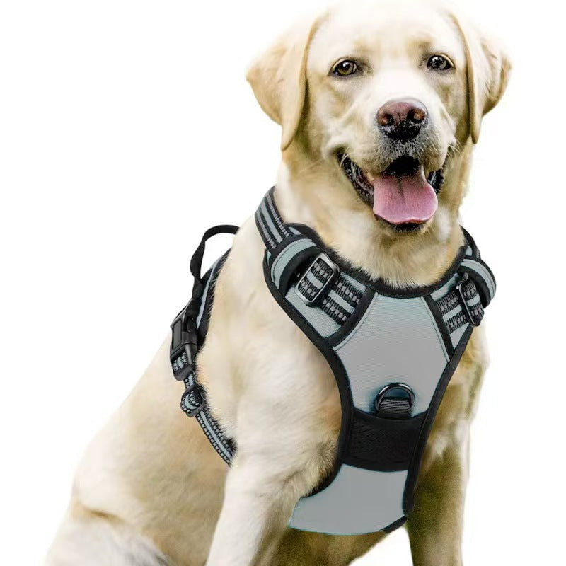 Dog Harness & Leash