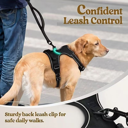 Dog Harness & Leash
