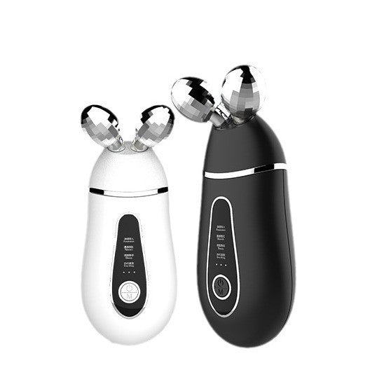 Dual Ball EMS Facial Roller