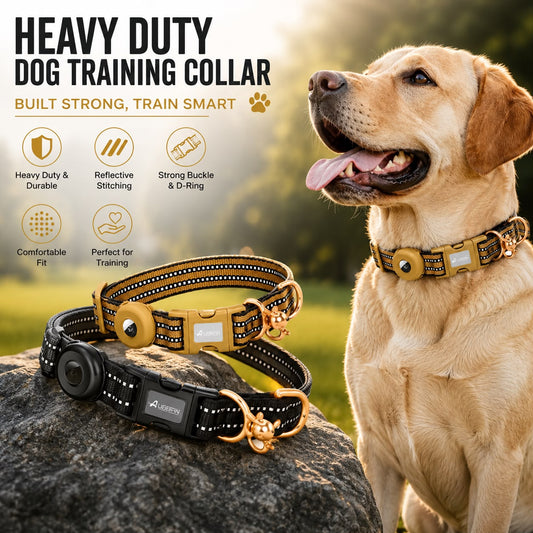 Heavy Duty Dog Training Collar