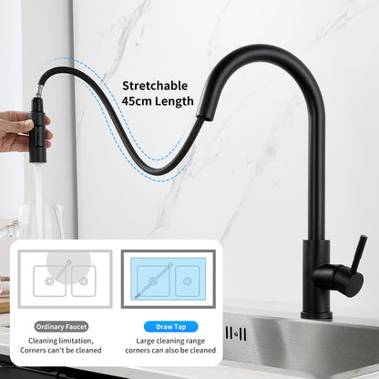 Pull-Out Kitchen Faucet