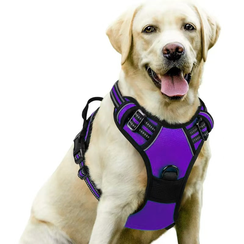 Dog Harness & Leash
