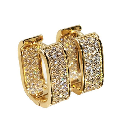 U Shaped Zircon Earrings
