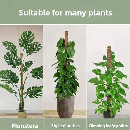 Bendable Plant Support Stick