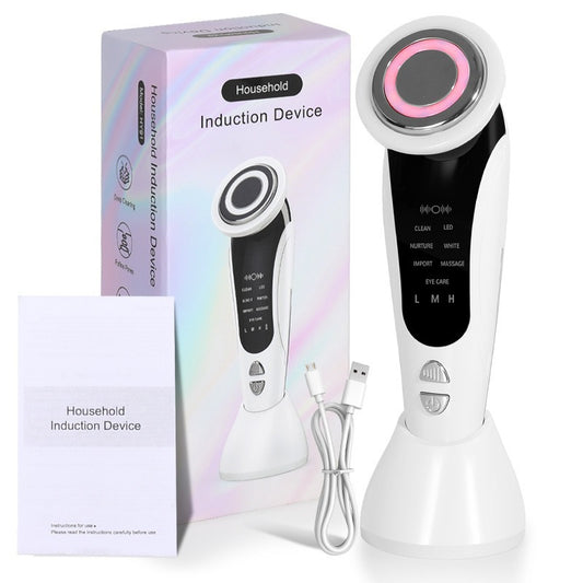 Electric Facial Beauty Device