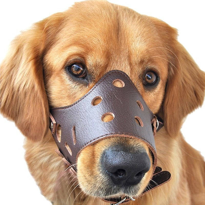 Dog Muzzle Barking Control