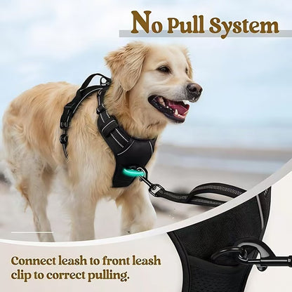 Dog Harness & Leash