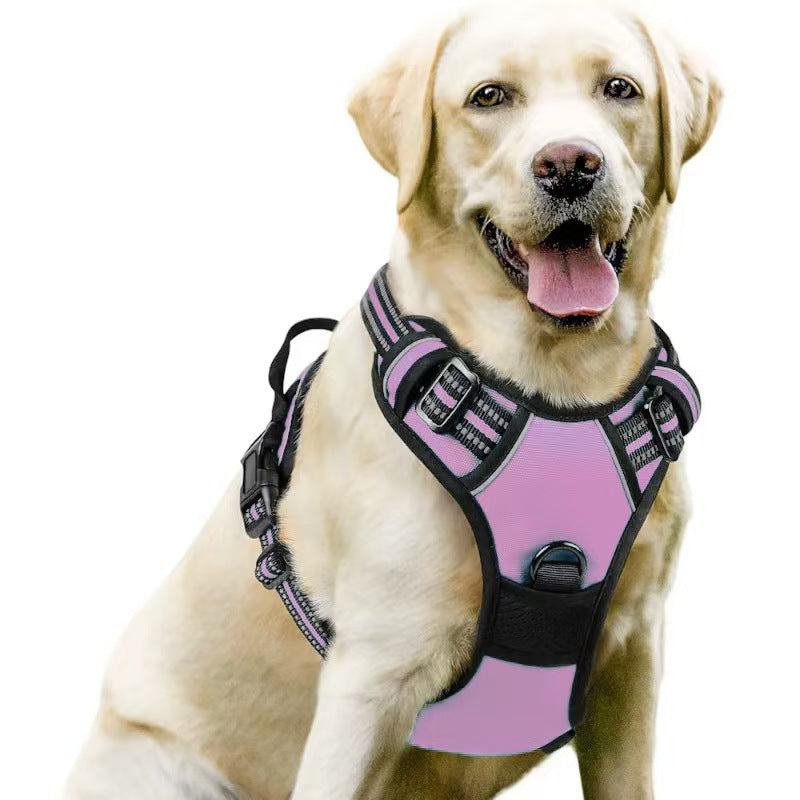 Dog Harness & Leash