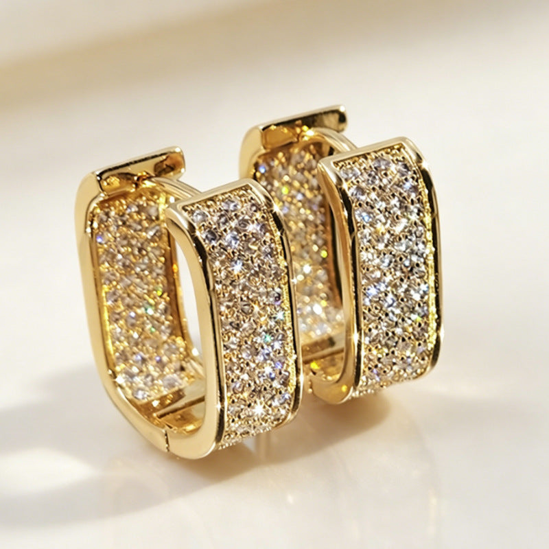 U Shaped Zircon Earrings