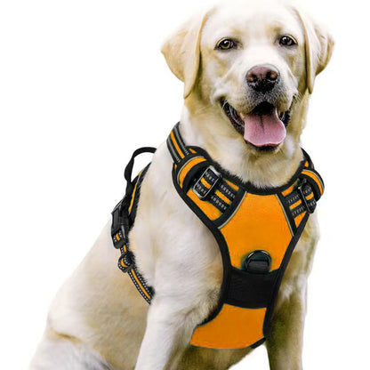 Dog Harness & Leash