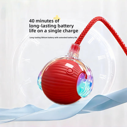 Smart Rolling Cat Ball