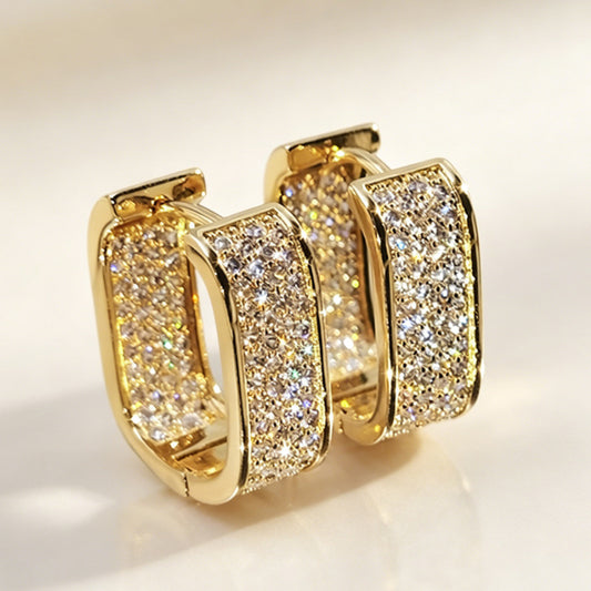 U Shaped Zircon Earrings