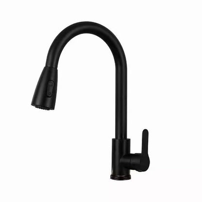 Stainless Steel Pull-Out Faucet