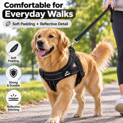 Padded Reflective Dog Harness in Sizes S-XL