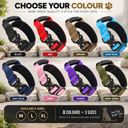 Adjustable Nylon Dog Collar, Medium & Large Dogs