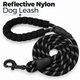 Reflective Nylon Dog Leash