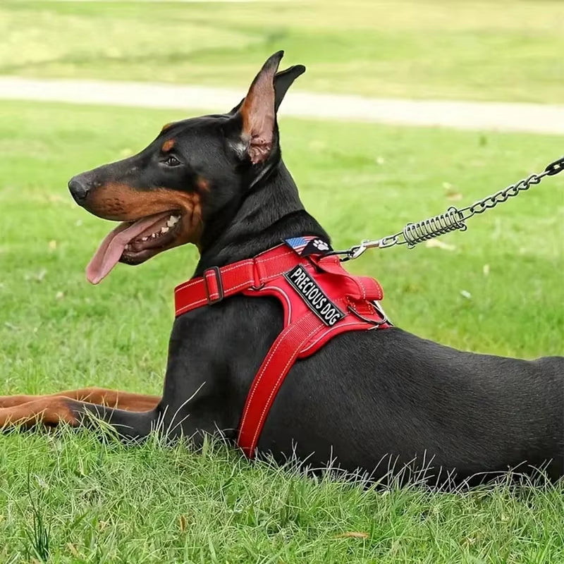 Reflective No Pull Service Dog Harness & Leash Set Adjustable Soft Oxford Walking Vest for Small Medium Dogs Training Outdoor Pet Harness