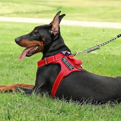 Reflective No Pull Service Dog Harness & Leash Set Adjustable Soft Oxford Walking Vest for Small Medium Dogs Training Outdoor Pet Harness