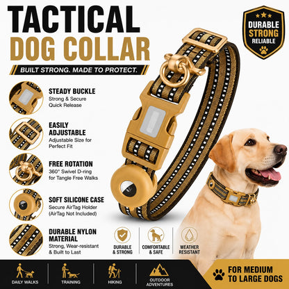 Heavy Duty Dog Training Collar