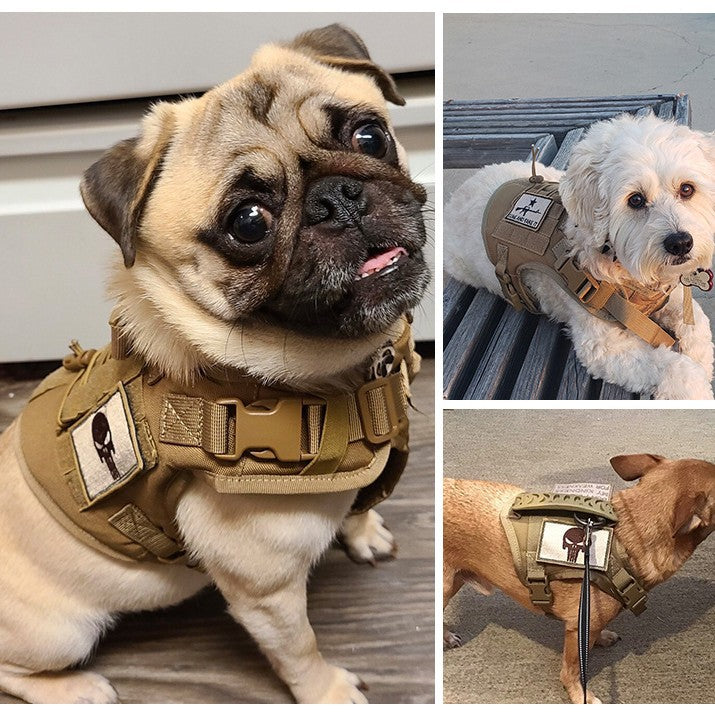 Tactical Adjustable Cat Harness